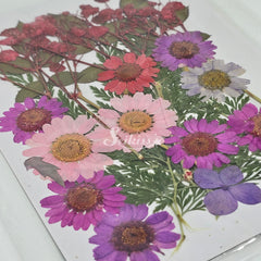 Dried flower set Dried flower set