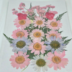 Dried flower set Dried flower set