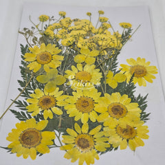 Dried flower set Dried flower set