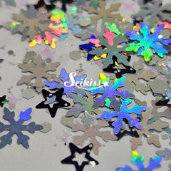 Silver Winter Chunky Glitter - Silver Glitter Silver Winter Chunky Glitter - Silver Glitter