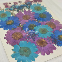 Dried flower set Dried flower set