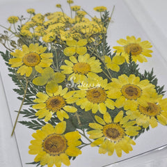 Dried flower set Dried flower set