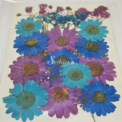 Dried flower set Dried flower set