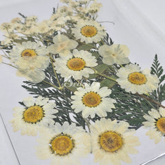Dried flower set Dried flower set