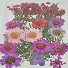 Dried flower set Dried flower set
